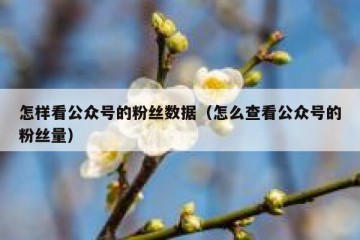 怎样看公众号的粉丝数据（怎么查看公众号的粉丝量）