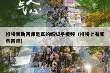推特赞助画师是真的吗知乎视频（推特上有哪些画师）