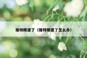 推特限速了（推特限速了怎么办）