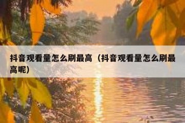 抖音观看量怎么刷最高（抖音观看量怎么刷最高呢）