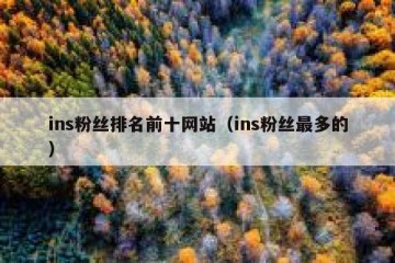 ins粉丝排名前十网站（ins粉丝最多的）