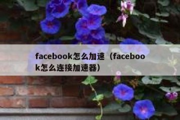 facebook怎么加速（facebook怎么连接加速器）