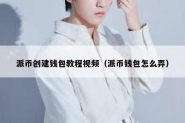 派币创建钱包教程视频（派币钱包怎么弄）