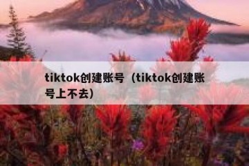 tiktok创建账号（tiktok创建账号上不去）
