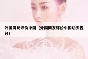 外国网友评价中国（外国网友评价中国功夫视频）