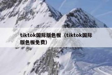 tiktok国际版色板（tiktok国际版色板免费）