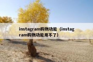 instagram购物功能（instagram购物功能用不了）