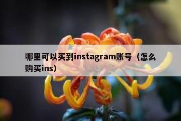 哪里可以买到instagram账号（怎么购买ins）
