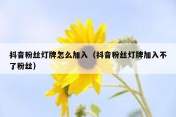 抖音粉丝灯牌怎么加入（抖音粉丝灯牌加入不了粉丝）