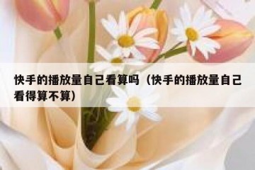 快手的播放量自己看算吗（快手的播放量自己看得算不算）