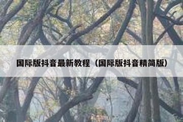国际版抖音最新教程（国际版抖音精简版）