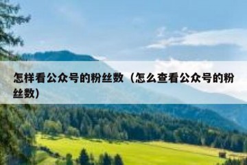 怎样看公众号的粉丝数（怎么查看公众号的粉丝数）
