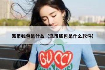 派币钱包是什么（派币钱包是什么软件）