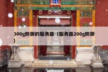 300g防御的服务器（服务器200g防御）