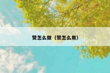 赞怎么做（赞怎么用）