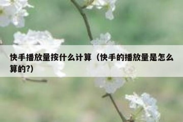 快手播放量按什么计算（快手的播放量是怎么算的?）