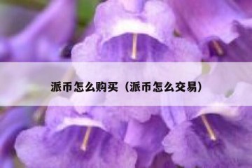 派币怎么购买（派币怎么交易）