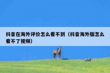 抖音在海外评价怎么看不到（抖音海外版怎么看不了视频）
