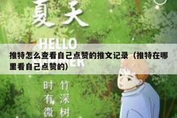 推特怎么查看自己点赞的推文记录（推特在哪里看自己点赞的）