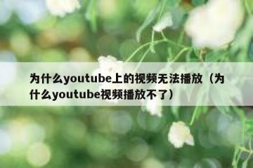 为什么youtube上的视频无法播放（为什么youtube视频播放不了）