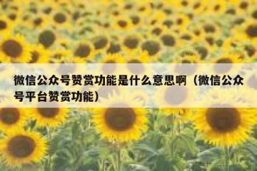 微信公众号赞赏功能是什么意思啊（微信公众号平台赞赏功能）