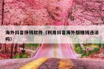 海外抖音挣钱软件（利用抖音海外版赚钱违法吗）