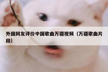 外国网友评价中国歌曲万疆视频（万疆歌曲片段）