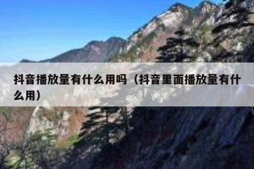 抖音播放量有什么用吗（抖音里面播放量有什么用）