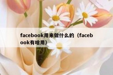 facebook用来做什么的（facebook有啥用）