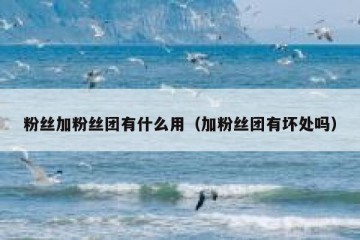 粉丝加粉丝团有什么用（加粉丝团有坏处吗）