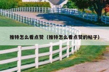 推特怎么看点赞（推特怎么看点赞的帖子）