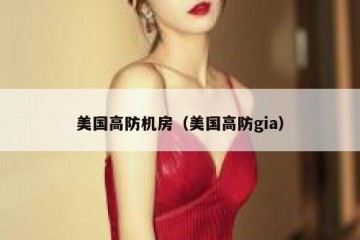 美国高防机房（美国高防gia）