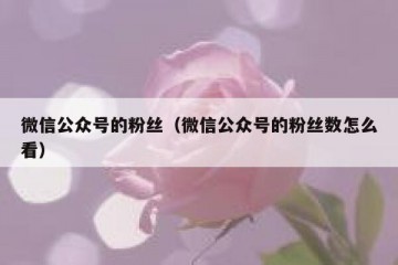 微信公众号的粉丝（微信公众号的粉丝数怎么看）
