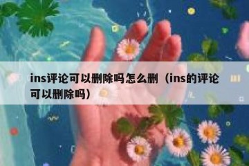 ins评论可以删除吗怎么删（ins的评论可以删除吗）