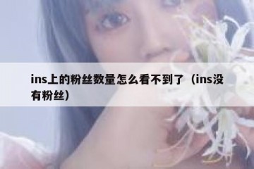 ins上的粉丝数量怎么看不到了（ins没有粉丝）