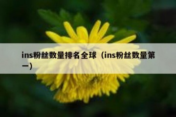 ins粉丝数量排名全球（ins粉丝数量第一）