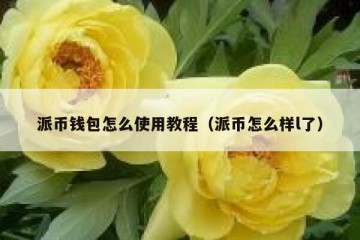 派币钱包怎么使用教程（派币怎么样l了）