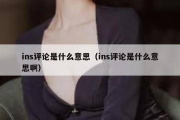 ins评论是什么意思（ins评论是什么意思啊）
