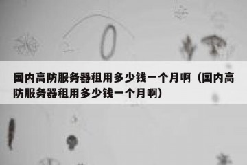 国内高防服务器租用多少钱一个月啊（国内高防服务器租用多少钱一个月啊）
