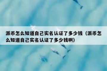 派币怎么知道自己实名认证了多少钱（派币怎么知道自己实名认证了多少钱啊）