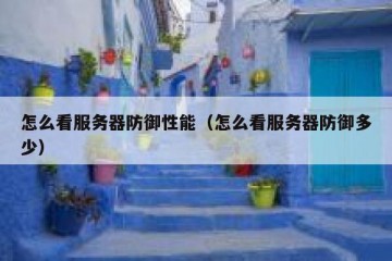 怎么看服务器防御性能（怎么看服务器防御多少）