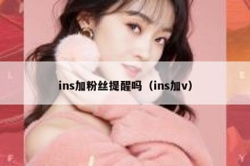 ins加粉丝提醒吗（ins加v）