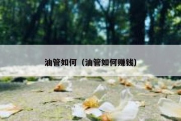 油管如何（油管如何赚钱）