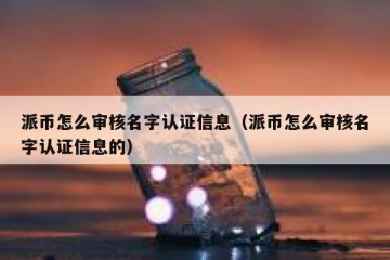 派币怎么审核名字认证信息（派币怎么审核名字认证信息的）
