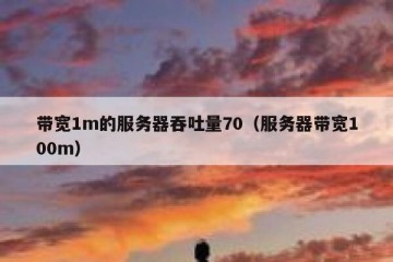 带宽1m的服务器吞吐量70（服务器带宽100m）