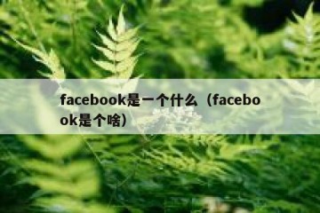 facebook是一个什么（facebook是个啥）