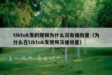 tiktok发的视频为什么没有播放量（为什么在tiktok发视频没播放量）