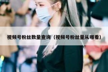 视频号粉丝数量查询（视频号粉丝量从哪看）