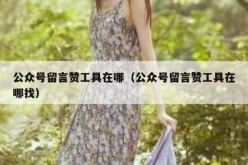 公众号留言赞工具在哪（公众号留言赞工具在哪找）