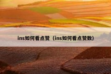 ins如何看点赞（ins如何看点赞数）